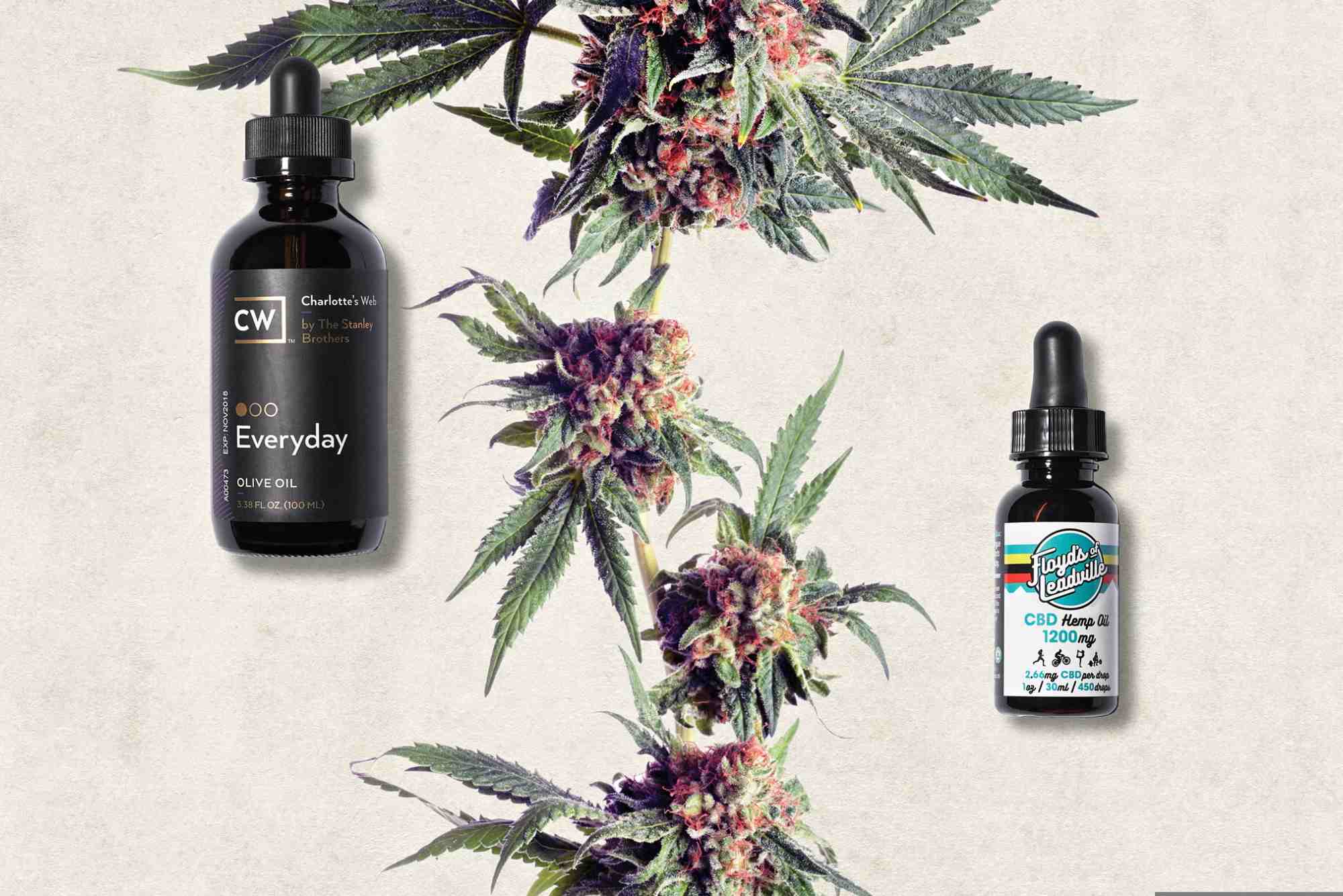 CBD Recovery UAE