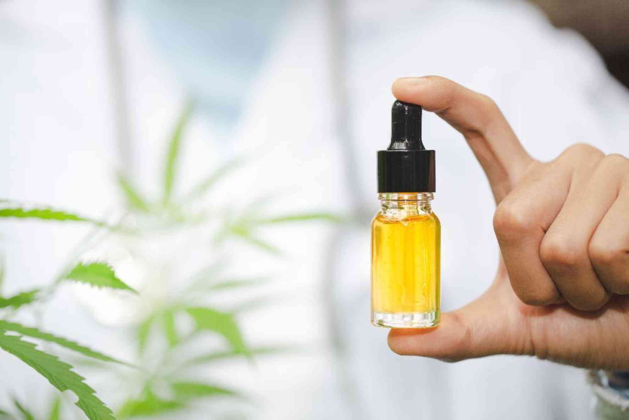 CBD Vape Trivia UAE