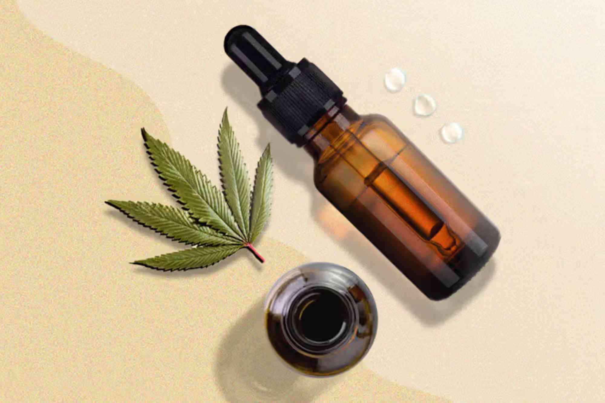 CBD VS Hemp UAE