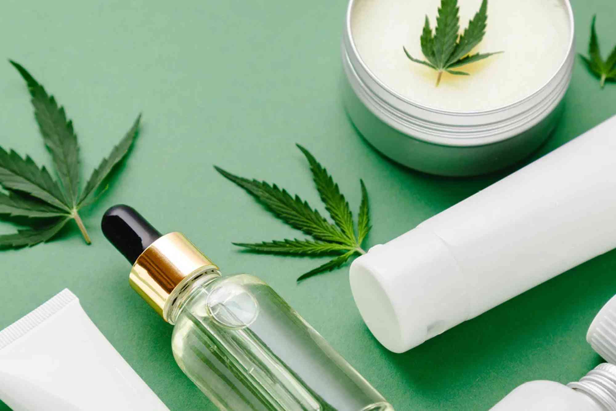 CBD Search Queries UAE